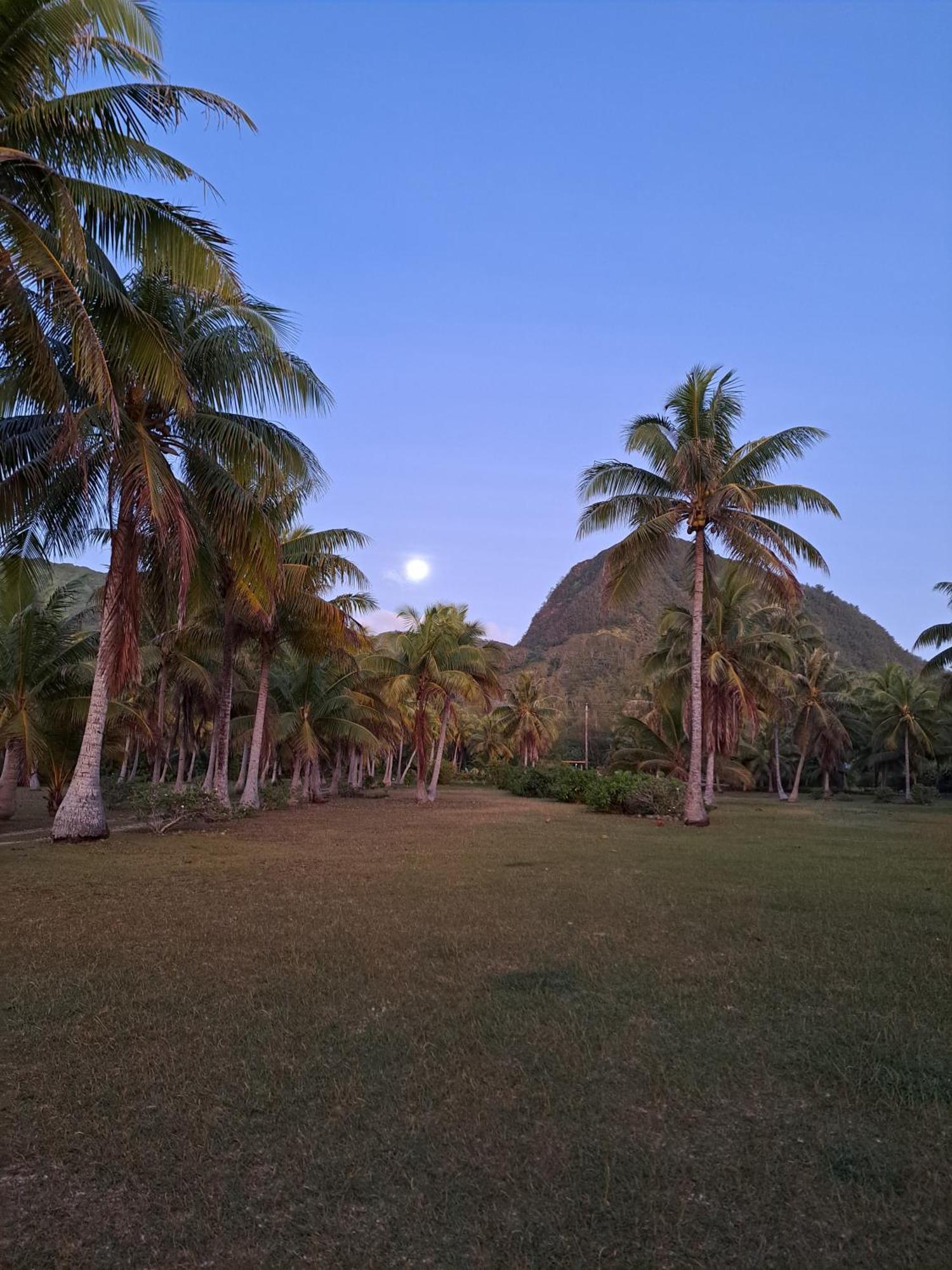 Tifaifai Et Cafe Huahine Bed & Breakfast Fare Exterior photo